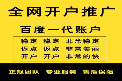 行业领先企业的SEM广告投放策略案例